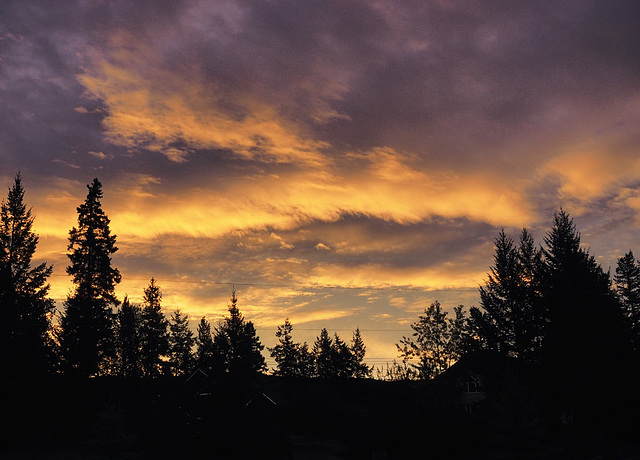 6:30 A.M. Near Dragon Lake, BC - Canada