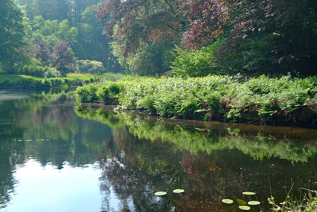 Nederland - Paterswolde, De Braak