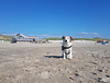 Jack Russell Terrier Clifford in Hargen aan Zee