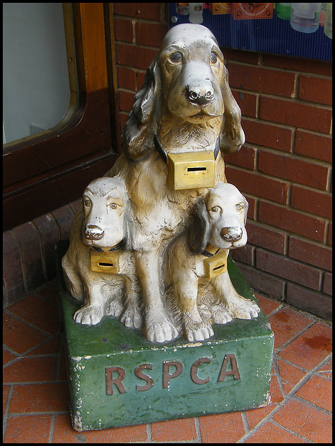 RSPCA collecting box