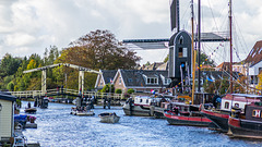 Leiden Windmills