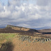 Stanage Edge south end from Burbage Edge; x2 vertical exaggeration