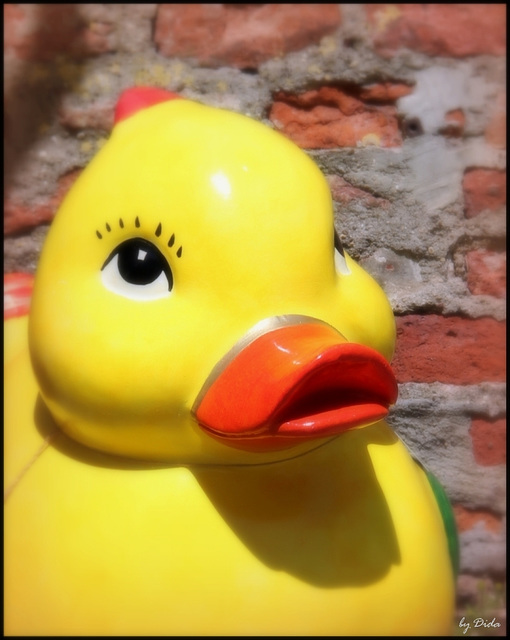 Duck face Duck face