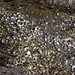 Chatsworth Grit pebbles