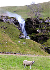 Cow Close Waterfall, Cray