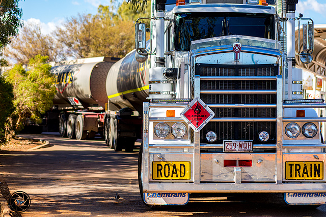 Road Train and a little bird