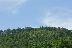 Georgia Hills