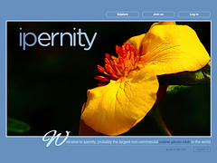 ipernity homepage with #1527