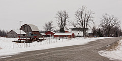 Benton Road Farmyard