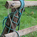 Seend, Wiltshire: Horsehair and Rope