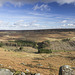 Burbage head from Higger Tor