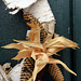 IMG 4817-001-Wreath