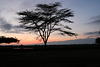 View of Mt. Kenya from Ol Pejeta Conservancy, Kenya