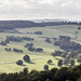 Sunlit Chatsworth fields