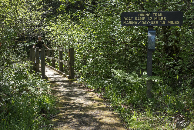 Pictures for Pam, Day 181: HFF: Bridge & Steve