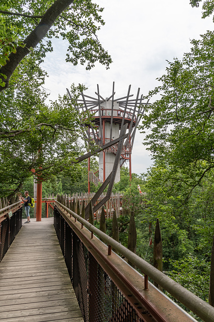 Den Adlerhorst im Blick