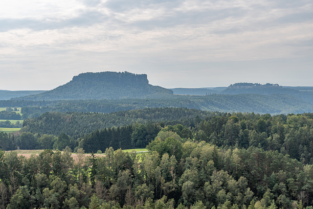 Blick zum Lilienstein und zur Festung Königstein