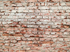 Texture - Brick Wall 1