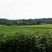 View west from the South Staffs Railway Walk