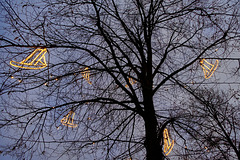 leuchtbaum-02150-co-04-12-16