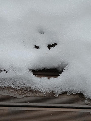 Snow face