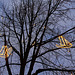 leuchtbaum-02151-co-04-12-16