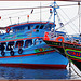 Port Said : le  originali barche da pesca egiziane a Port Fouad