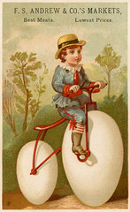 Egg Bike