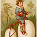 Egg Bike