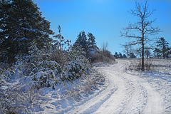 Winterlandschaft - Winter landscape