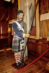 Ein Highlander im Ballsaal