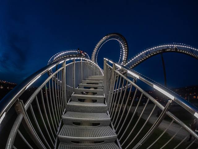Tiger and Turtle....