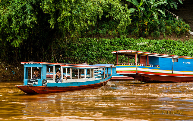 Mekong boats
