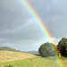 Queensland Rainbow