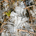 St bruno ice needles DSC 0670 edited