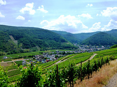 DE - Rech - View from the vineyards