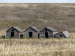 Old granaries on the prairie