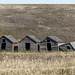 Old granaries on the prairie