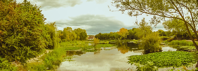 Halcyon Days - Lliswerry Pond