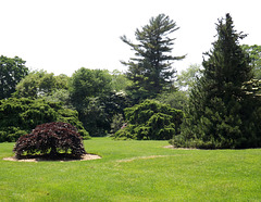 Garden at Planting Fields, May 2012