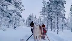 in an open sleigh