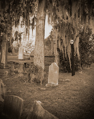 Ghoul in the Graveyard