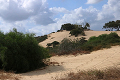 Sand dunes of Caesarea