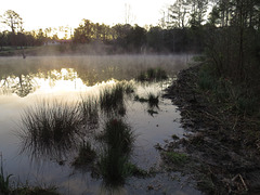 Sunrise over the pond
