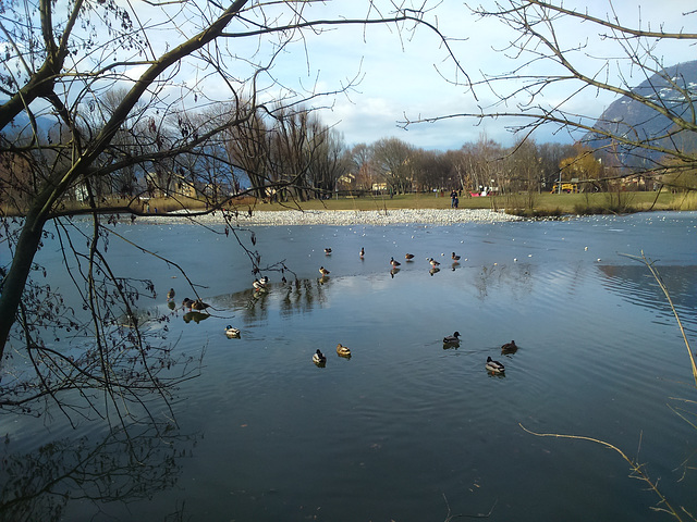 Un après-midi au lac.. un froid de canard!