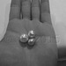 AUD 4,000 worth of pearls, Dampier Penninsula, WA