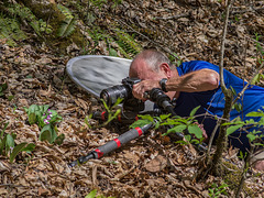Bill Robertson photographing Showy Orchis in the Pisgah National Forest