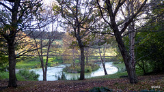 Pond - late autumn afternoon sunshine