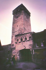Svan towers