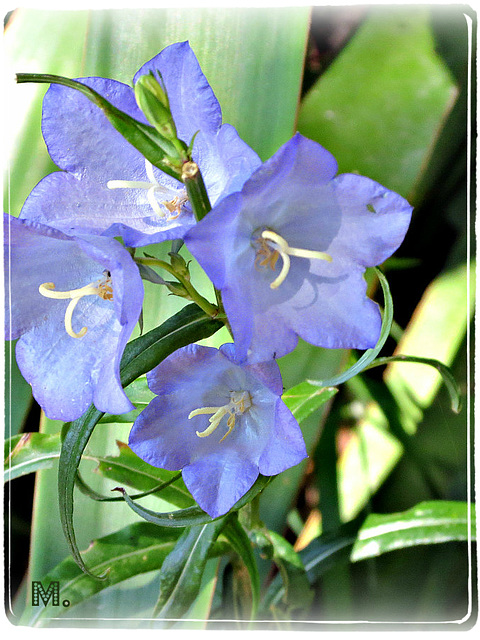 Bonne Fin De Semaine A Tous @++ Bonne Fin De Semaine A Tous @++